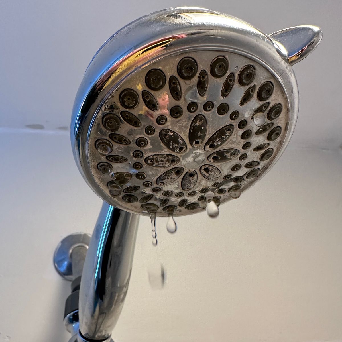 #346 - Showerhead 2:34AM